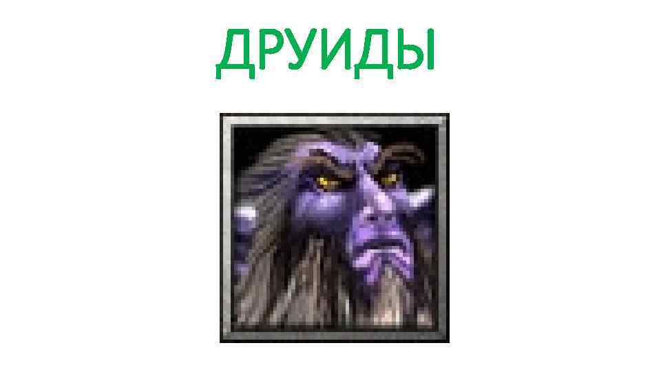 ДРУИДЫ 