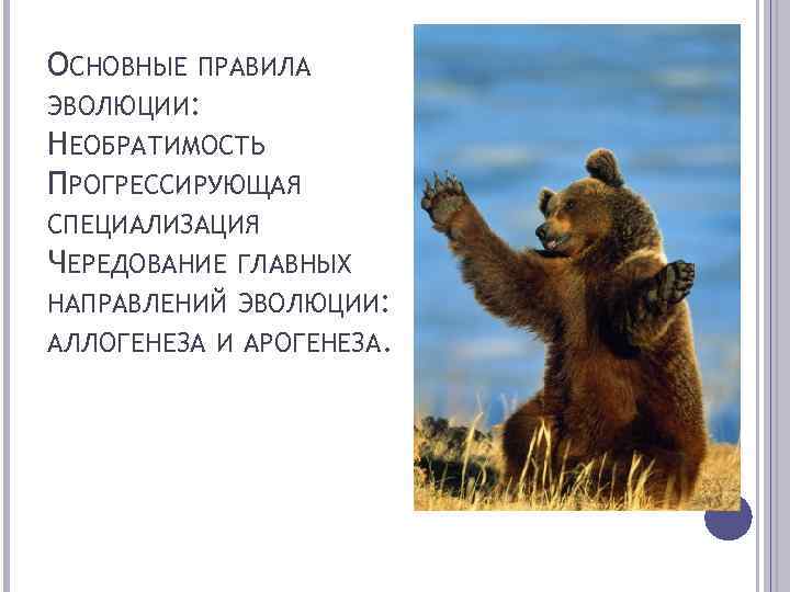 ОСНОВНЫЕ ПРАВИЛА ЭВОЛЮЦИИ: НЕОБРАТИМОСТЬ ПРОГРЕССИРУЮЩАЯ СПЕЦИАЛИЗАЦИЯ ЧЕРЕДОВАНИЕ ГЛАВНЫХ НАПРАВЛЕНИЙ ЭВОЛЮЦИИ: АЛЛОГЕНЕЗА И АРОГЕНЕЗА. 