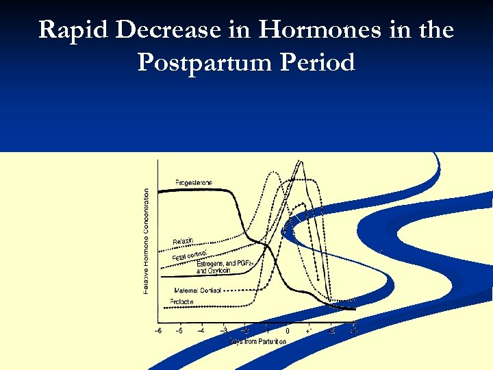 Rapid Decrease in Hormones in the Postpartum Period 