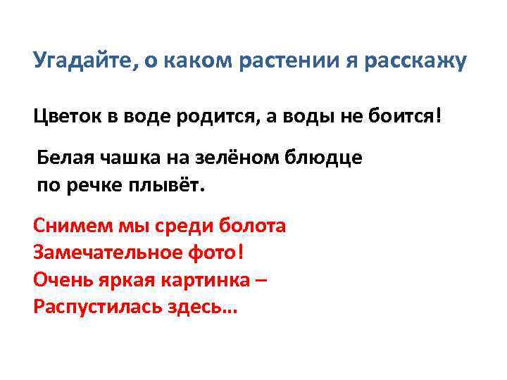 Угадайте, о каком растении я расскажу Цветок в воде родится, а воды не боится!