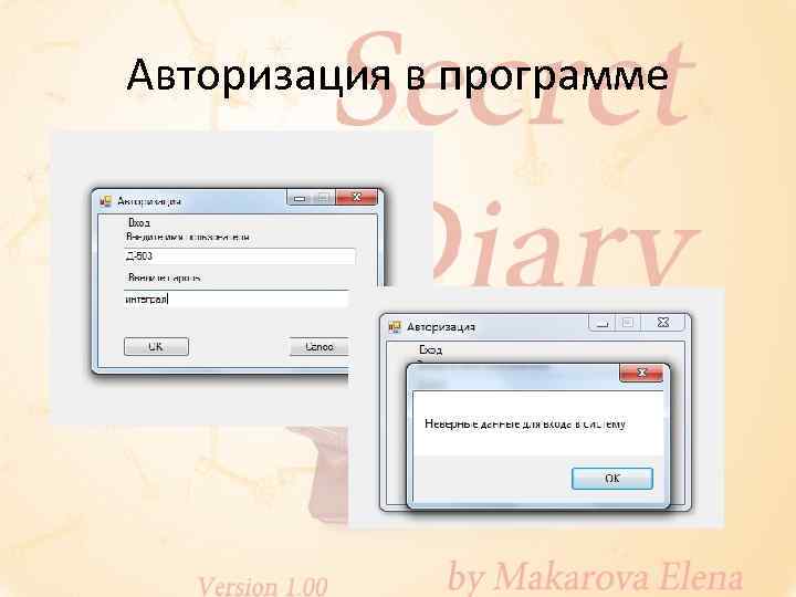 Авторизация в программе 