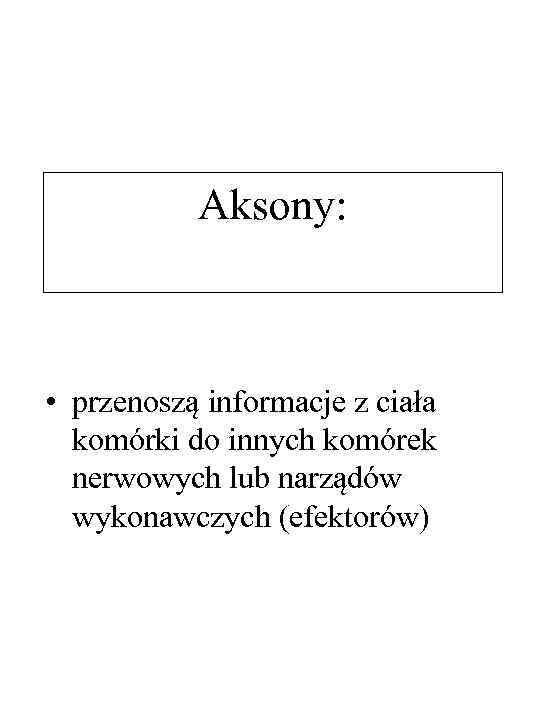 Aksony: • przenoszą informacje z ciała komórki do innych komórek nerwowych lub narządów wykonawczych