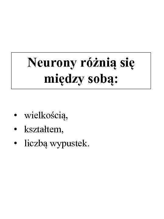 Neurony różnią się między sobą: • wielkością, • kształtem, • liczbą wypustek. 