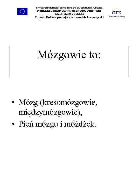 Projekt współfinansowany ze środków Europejskiego Funduszu Społecznego w ramach Sektorowego Programu Operacyjnego Rozwój Zasobów