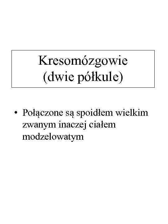 Kresomózgowie (dwie półkule) • Połączone są spoidłem wielkim zwanym inaczej ciałem modzelowatym 