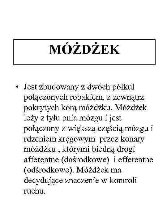 MÓŻDŻEK • Jest zbudowany z dwóch półkul połączonych robakiem, z zewnątrz pokrytych korą móżdżku.