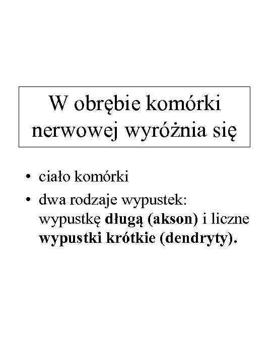 W obrębie komórki nerwowej wyróżnia się • ciało komórki • dwa rodzaje wypustek: wypustkę