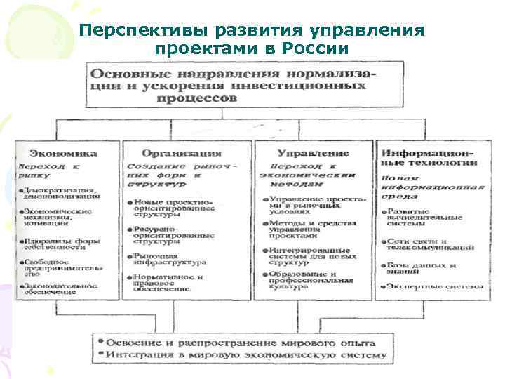 Перспективы развития управления проектами в России 34 