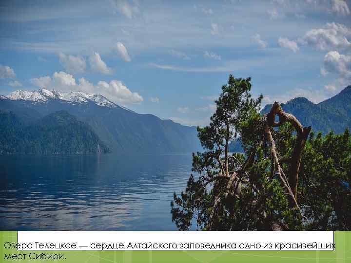 Озеро Телецкое — сердце Алтайского заповедника одно из красивейших мест Сибири. 
