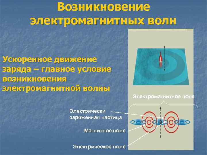 Возникновение электромагнитных волн Ускоренное движение заряда – главное условие возникновения электромагнитной волны Электромагнитное поле
