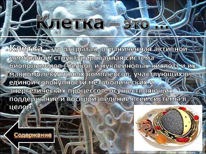 Клетка – это … Клетка - это открытая, ограниченная активной мембраной, структурированная система биополимеров