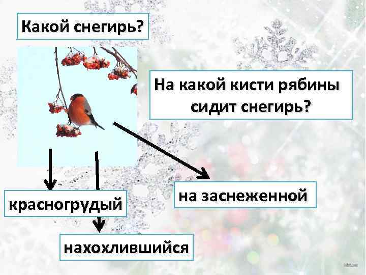 Стайка снегирей куда то исчезла и как ни вслушивался сашка в окружающую тишину схема предложения