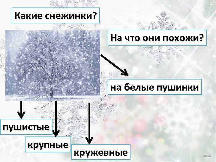 Какие снежинки? На что они похожи? на белые пушинки пушистые крупные кружевные 