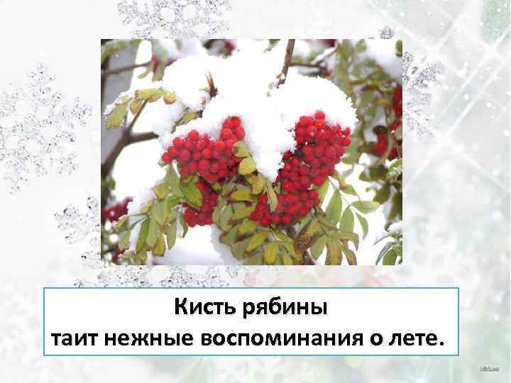 Кисть рябины таит нежные воспоминания о лете. 