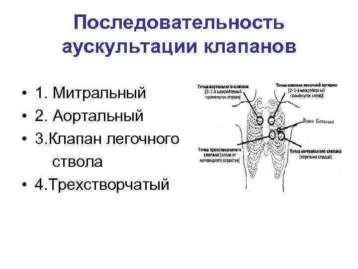 Последовательность аускультации клапанов • 1. Митральный • 2. Аортальный • 3. Клапан легочного ствола