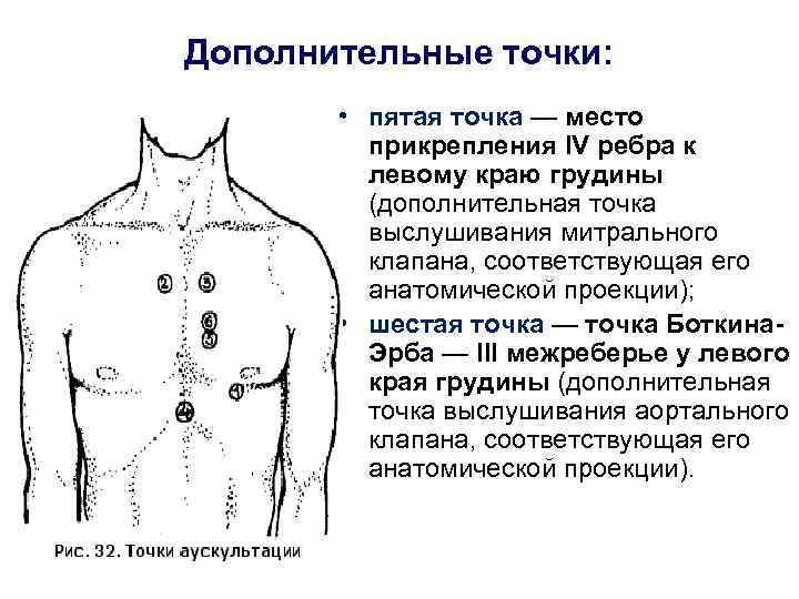 Дополнительные точки: • пятая точка — место прикрепления IV ребра к левому краю грудины