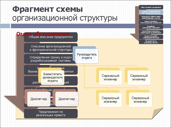 Фрагмент схемы организационной структуры Общее описание предприятия Описание организационной и функциональной структуры Определение границ