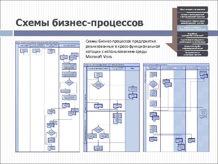 Общее описание предприятия Схемы бизнес-процессов Описание организационной и функциональной структуры Определение границ и задач