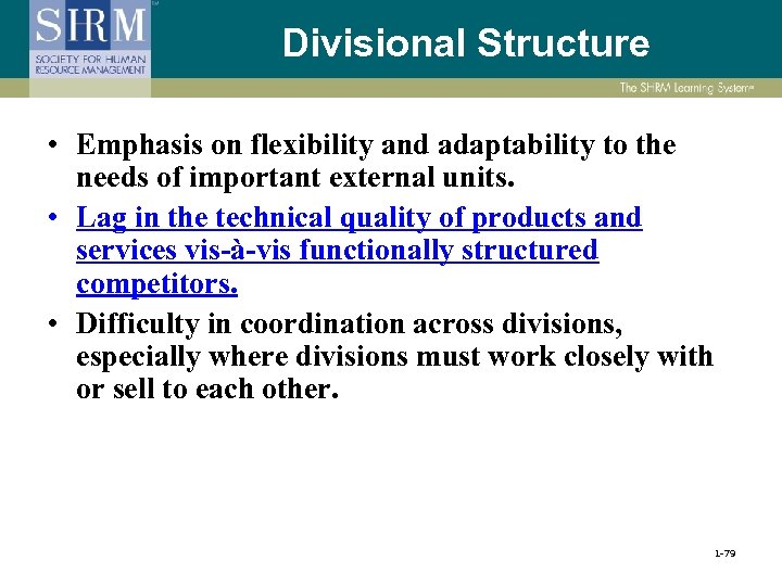 Divisional Structure • Emphasis on flexibility and adaptability to the needs of important external