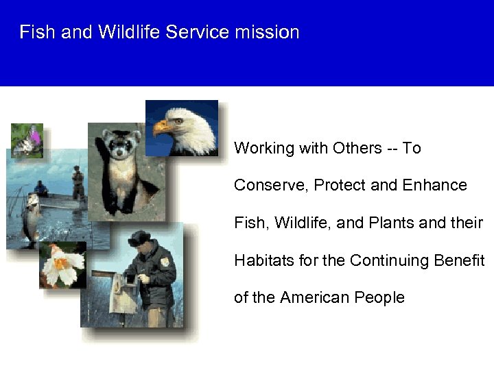 Fish and Wildlife Service mission Working with Others -- To Conserve, Protect and Enhance