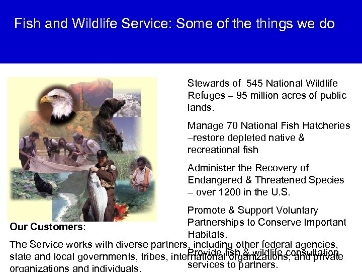 Fish and Wildlife Service: Some of the things we do Stewards of 545 National