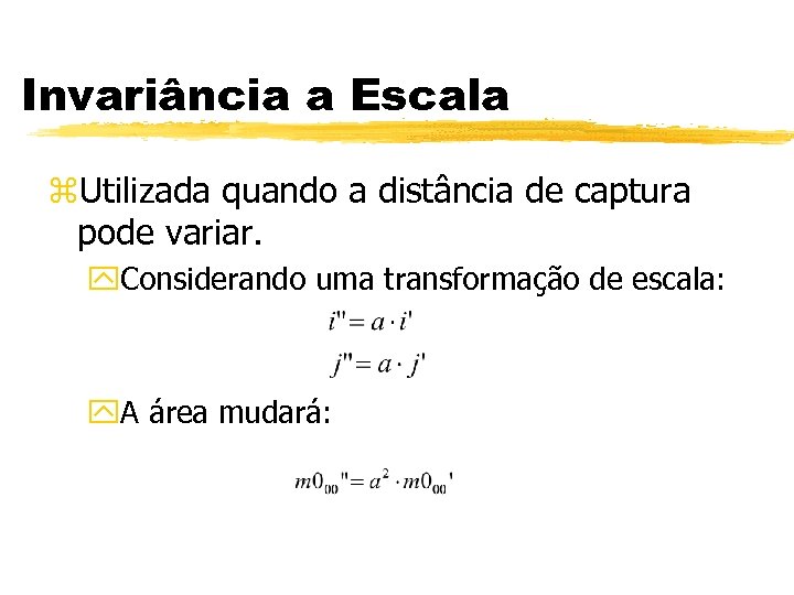Invariância a Escala z. Utilizada quando a distância de captura pode variar. y. Considerando