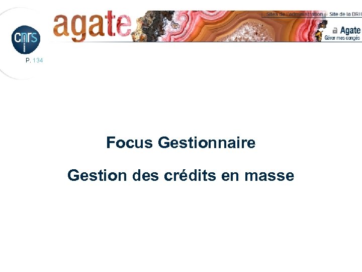 P. 134 Focus Gestionnaire Gestion des crédits en masse 