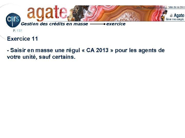 Gestion des crédits en masse exercice P. 137 Exercice 11 - Saisir en masse