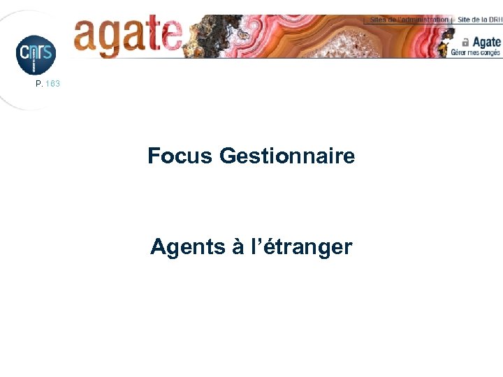 P. 163 Focus Gestionnaire Agents à l’étranger 