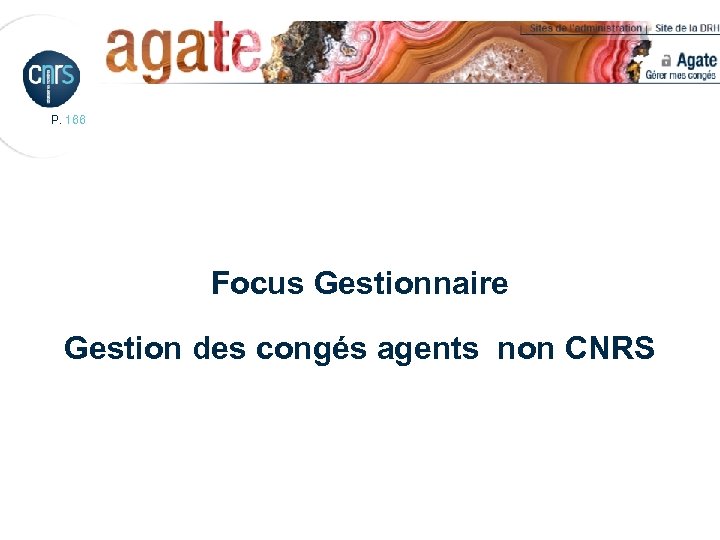P. 166 Focus Gestionnaire Gestion des congés agents non CNRS 