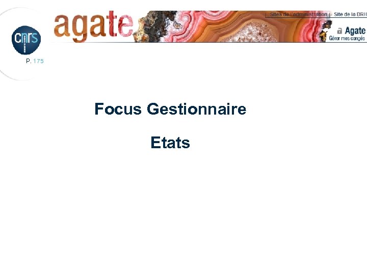 P. 175 Focus Gestionnaire Etats 