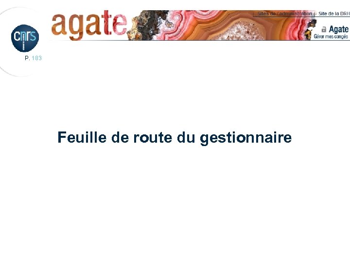 P. 183 Feuille de route du gestionnaire 