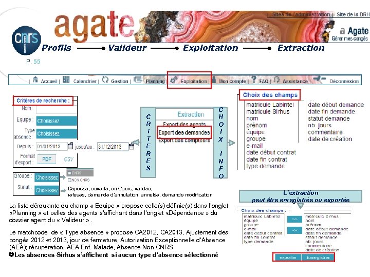 Profils Valideur Exploitation Extraction P. 55 C R I T E R E S