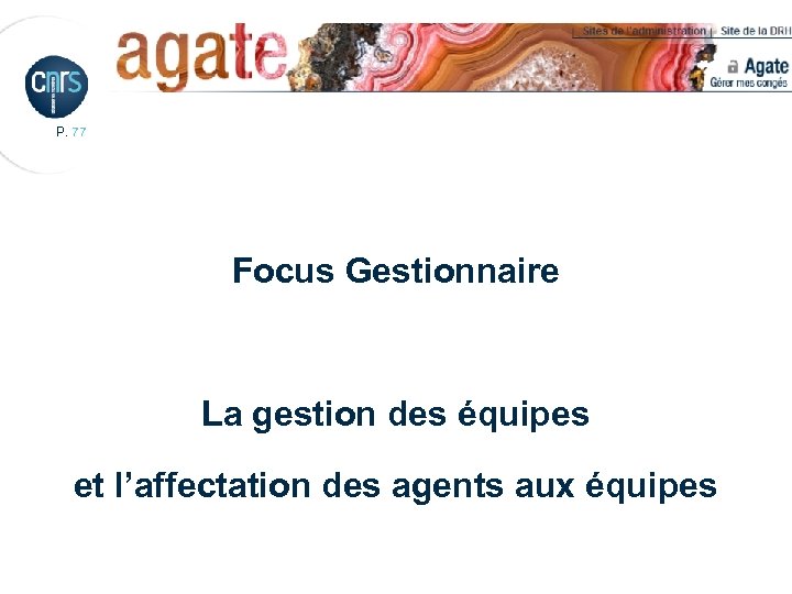 P. 77 Focus Gestionnaire La gestion des équipes et l’affectation des agents aux équipes