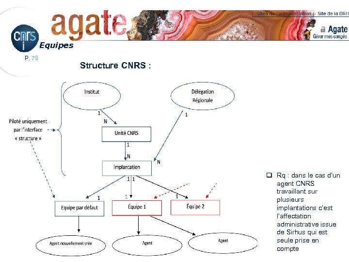 Equipes P. 78 Structure CNRS : q Rq : dans le cas d’un agent
