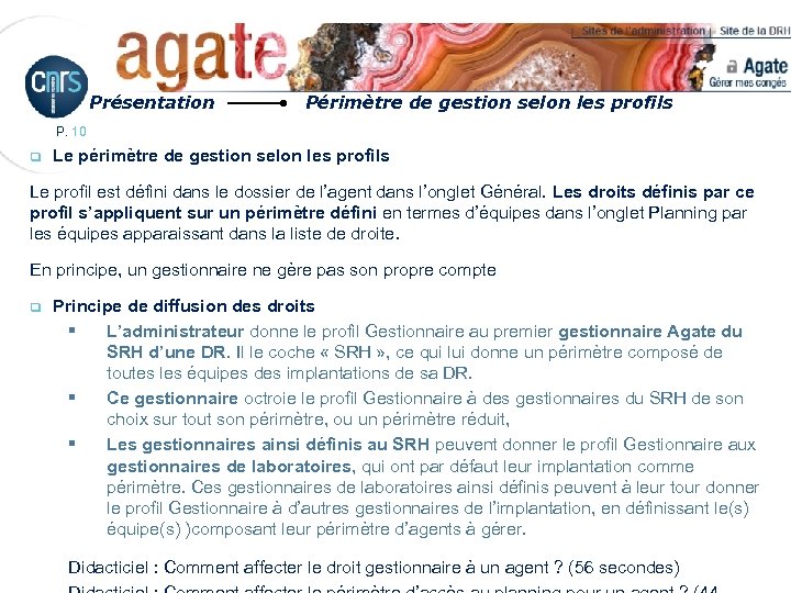 Présentation Périmètre de gestion selon les profils P. 10 q Le périmètre de gestion