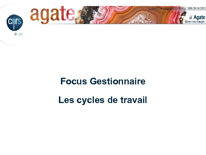 P. 88 Focus Gestionnaire Les cycles de travail 