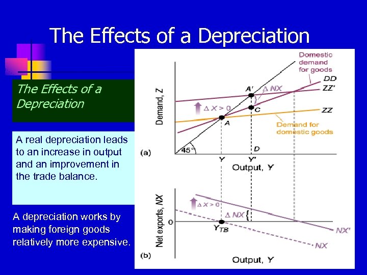 The Effects of a Depreciation A real depreciation leads to an increase in output