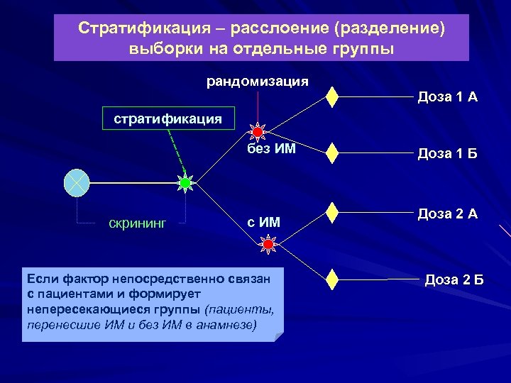 Стратификация – расслоение (разделение) выборки на отдельные группы рандомизация Доза 1 А стратификация без