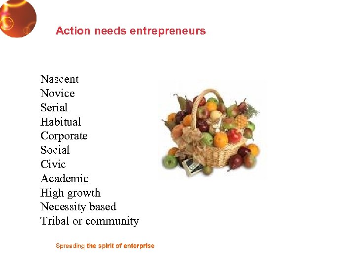 Action needs entrepreneurs Nascent Novice Serial Habitual Corporate Social Civic Academic High growth Necessity