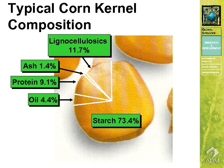 Typical Corn Kernel Composition Lignocellulosics 11. 7% Ash 1. 4% Protein 9. 1% Oil