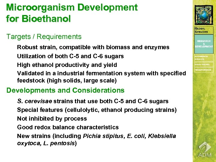 Microorganism Development for Bioethanol Targets / Requirements Robust strain, compatible with biomass and enzymes