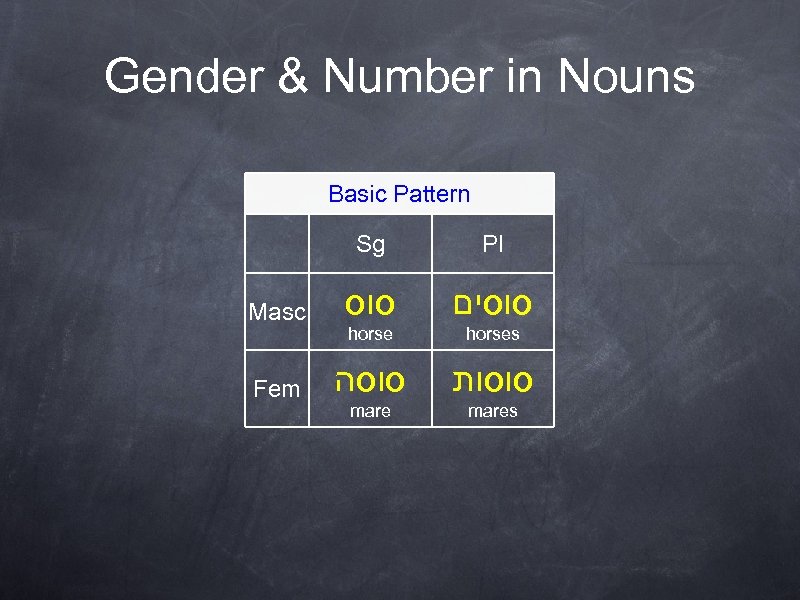 Gender & Number in Nouns Basic Pattern Sg Pl Masc סוסים horses Fem סוסה
