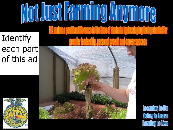 Identify each part of this ad 