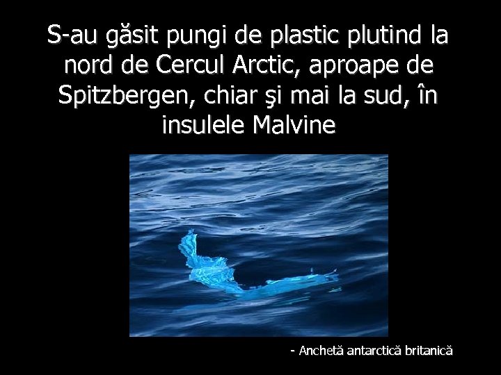S-au găsit pungi de plastic plutind la nord de Cercul Arctic, aproape de Spitzbergen,