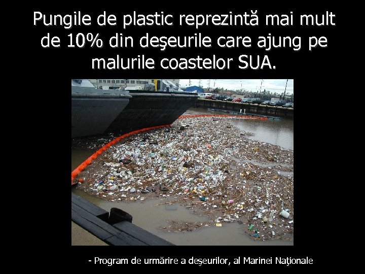 Pungile de plastic reprezintă mai mult de 10% din deşeurile care ajung pe malurile