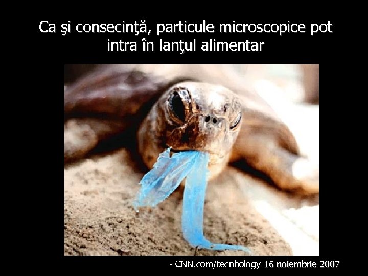 Ca şi consecinţă, particule microscopice pot intra în lanţul alimentar - CNN. com/tecnhology 16