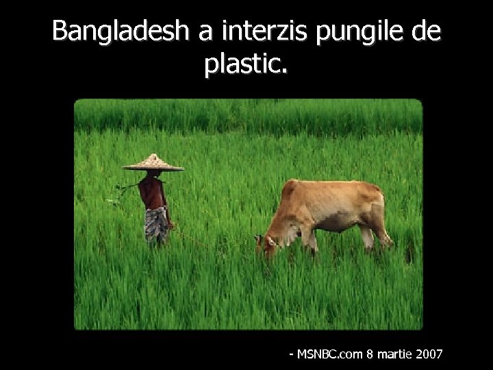 Bangladesh a interzis pungile de plastic. - MSNBC. com 8 martie 2007 