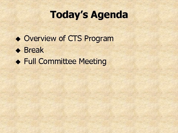 Today’s Agenda u u u Overview of CTS Program Break Full Committee Meeting 