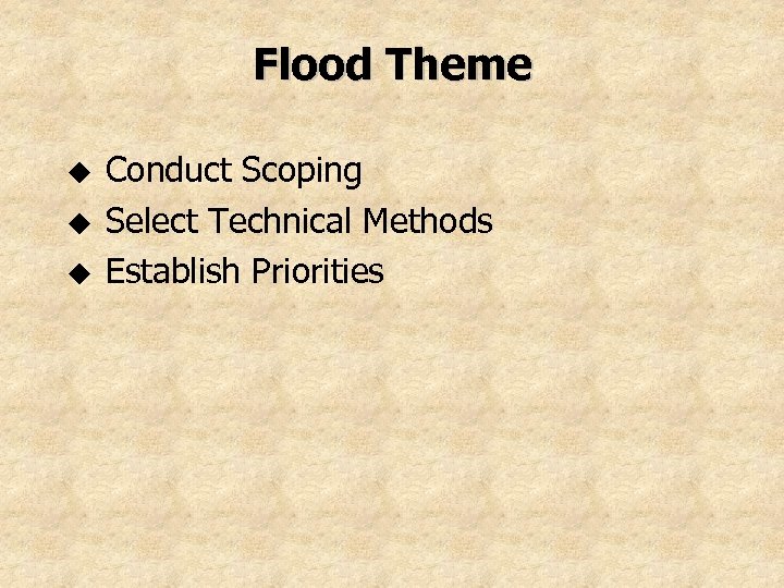 Flood Theme u u u Conduct Scoping Select Technical Methods Establish Priorities 